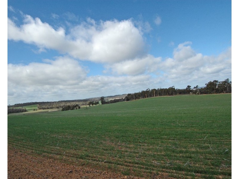 12209 Herdigan Road, Wandering WA 6308