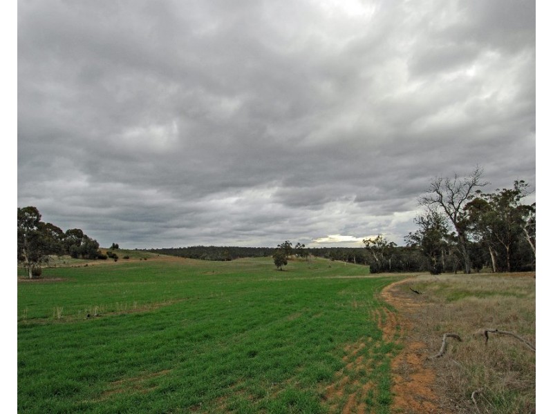 Lot 12223,  Herdigan Road, Wandering WA 6308