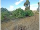 Lot 964,  Dobaderry Road, Beverley WA 6304