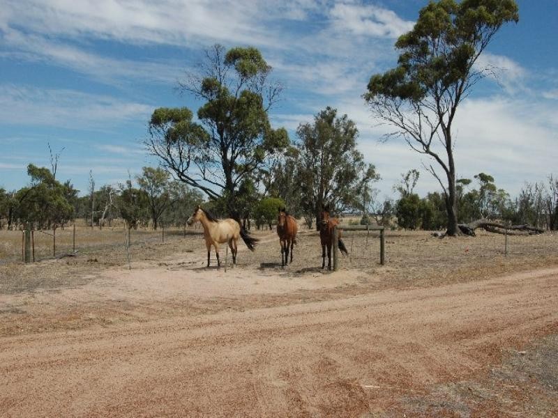 67 Calcoran Road, Popanyinning WA 6309