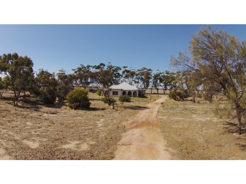 Lot 104,  Dwalarking, Pingelly WA 6308