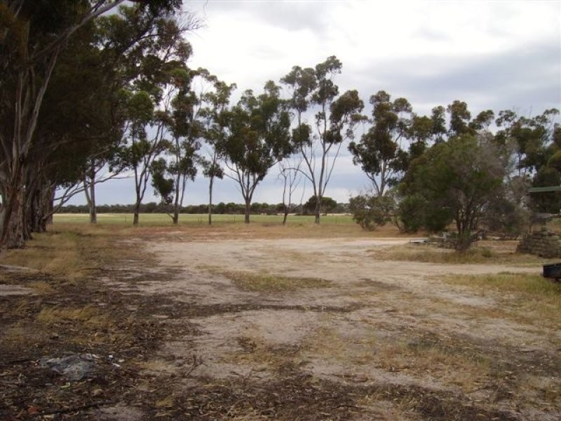 Lot 104,  Dwalarking, Pingelly WA 6308