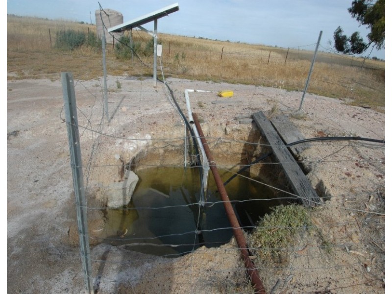 Lot 104,  Dwalarking, Pingelly WA 6308