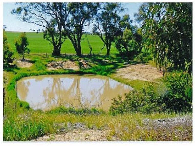 Lot 165 Quairading York Road, Kauring WA 6302