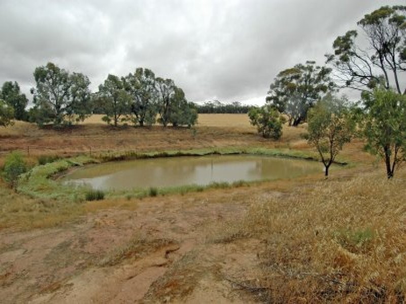 Lot 165 Quairading York Road, Kauring WA 6302