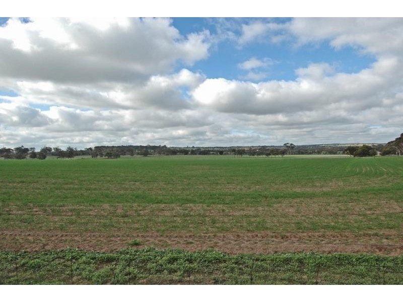 36 Prunster Road, York WA 6302