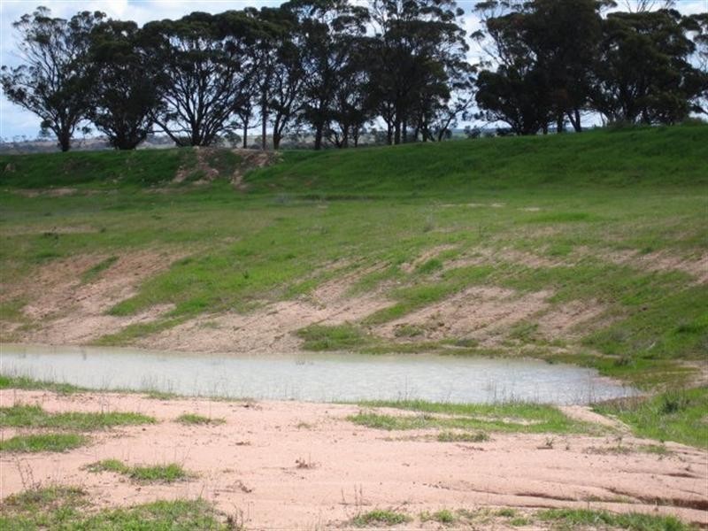 Lot 2 Goldfield Road, Merredin WA 6415