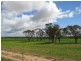 Lot 2 Goldfield Road, Merredin WA 6415