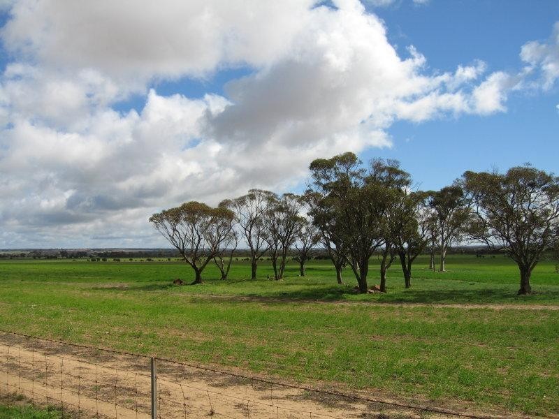 Lot 2 Goldfield Road, Merredin WA 6415