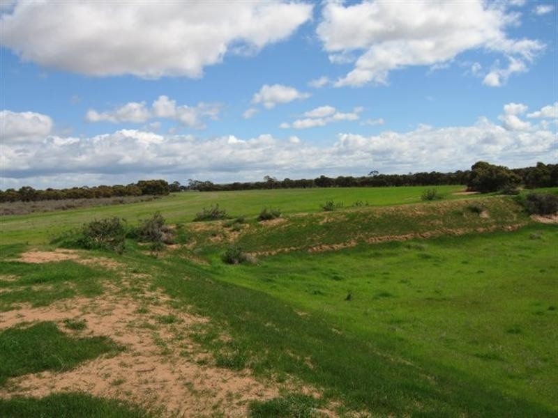 Lot 2 Goldfield Road, Merredin WA 6415