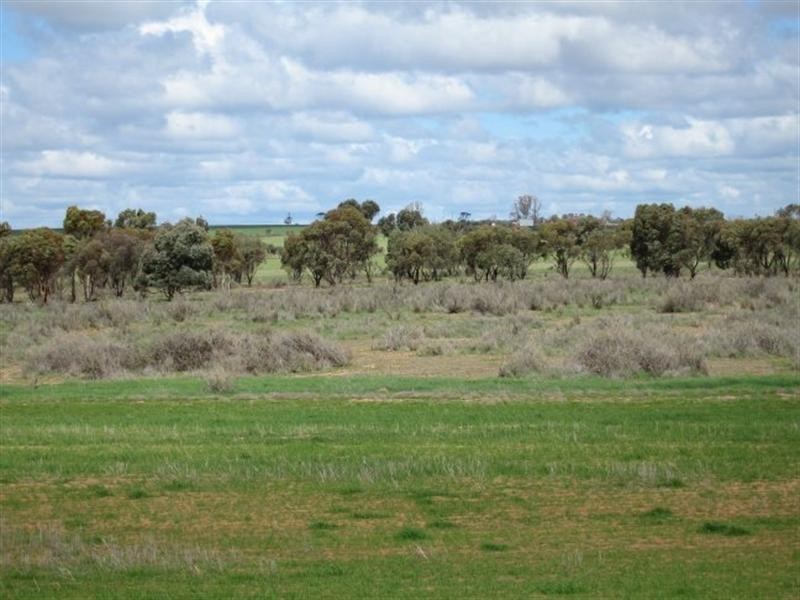 Lot 2 Goldfield Road, Merredin WA 6415