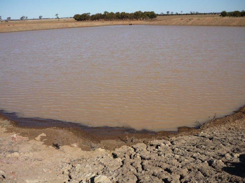 Lot 2 Goldfield Road, Merredin WA 6415