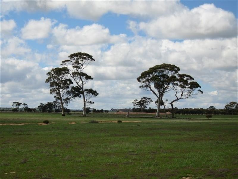 Merredin WA 6415