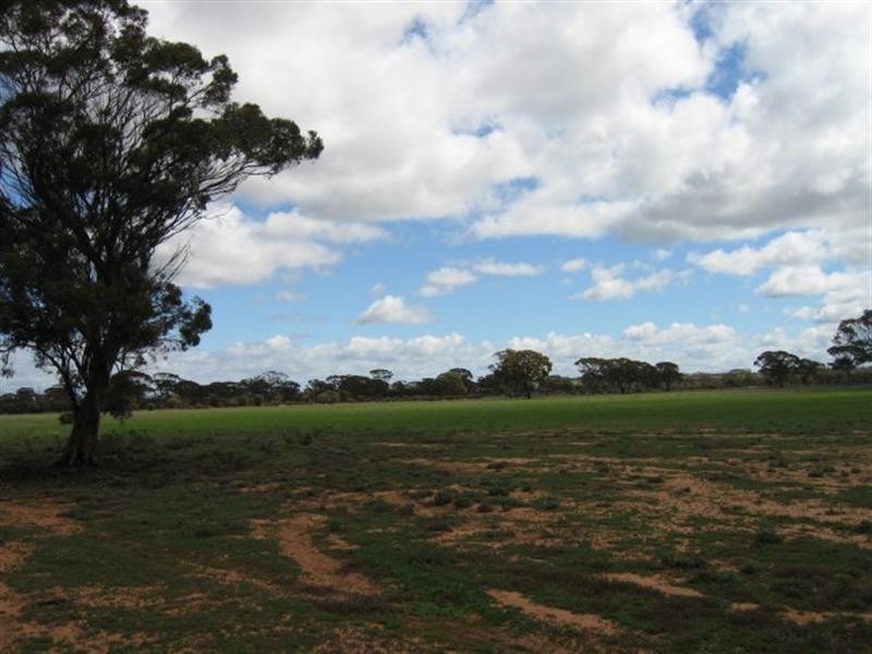 Lot 15639 Goldfields Rd, Merredin WA 6415