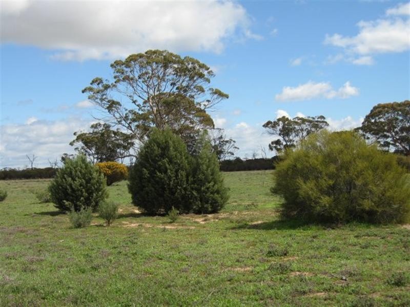 Lot 15639 Goldfields Rd, Merredin WA 6415