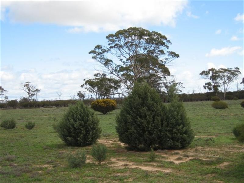 Lot 15639 Goldfields Rd, Merredin WA 6415
