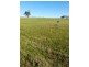 80 Red Swamp Place, York WA 6302