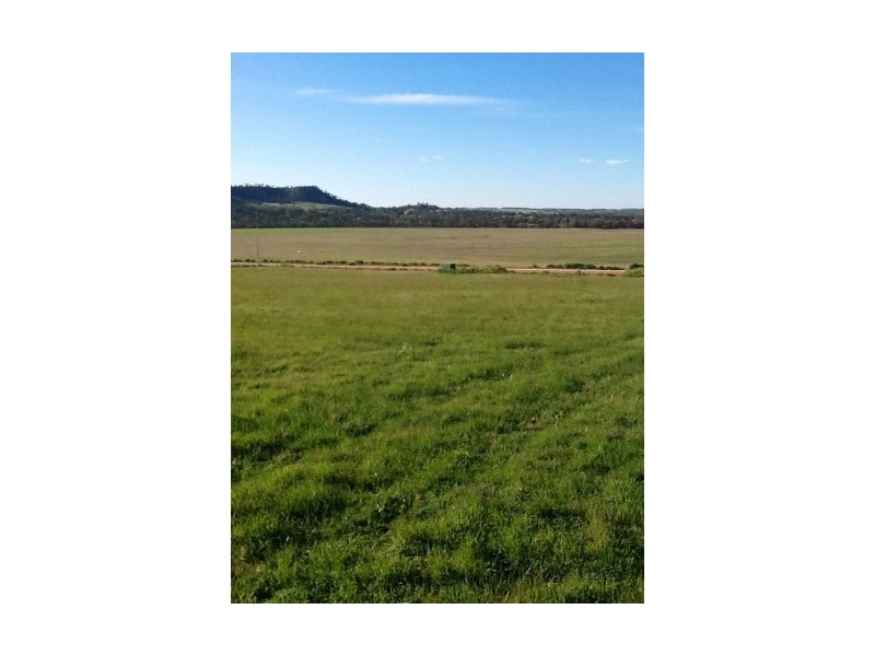 80 Red Swamp Place, York WA 6302