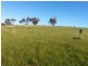 80 Red Swamp Place, York WA 6302