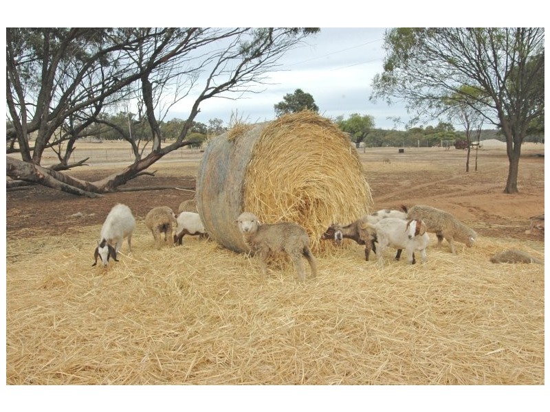 19 Turner Gully Road, Beverley WA 6304