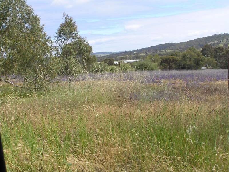 72 Quairading Road, York WA 6302