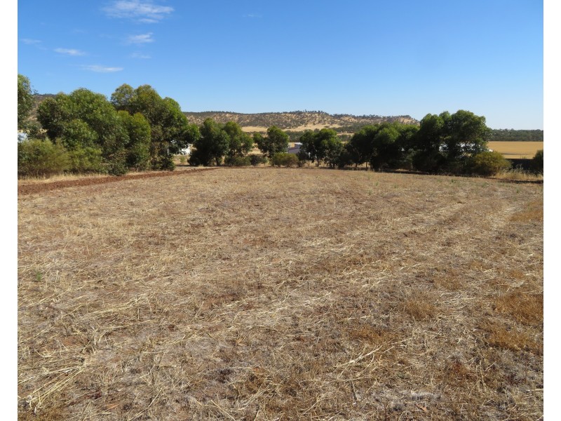 51 Langford Cresent, York WA 6302