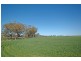 Lot 32,  Quellington Road, York WA 6302