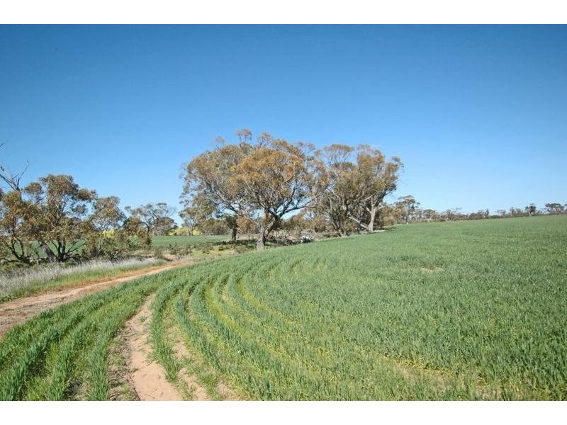 Lot 32,  Quellington Road, York WA 6302