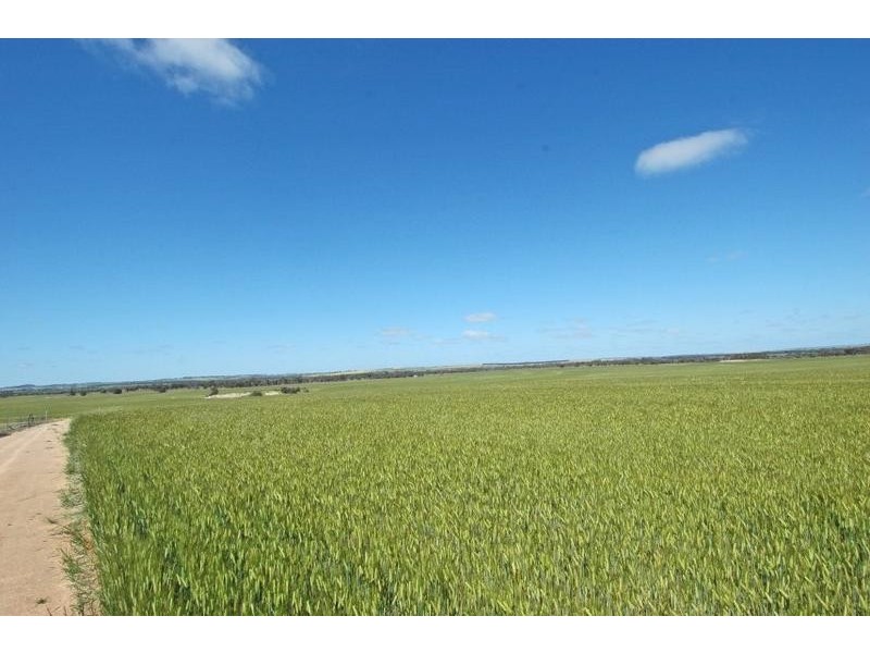 Lot 2,  YENYENING LAKE ROAD, Beverley WA 6304