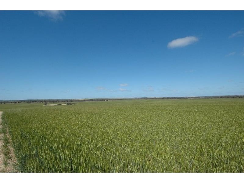 Lot 2,  YENYENING LAKE ROAD, Beverley WA 6304