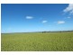 Lot 2,  YENYENING LAKE ROAD, Beverley WA 6304