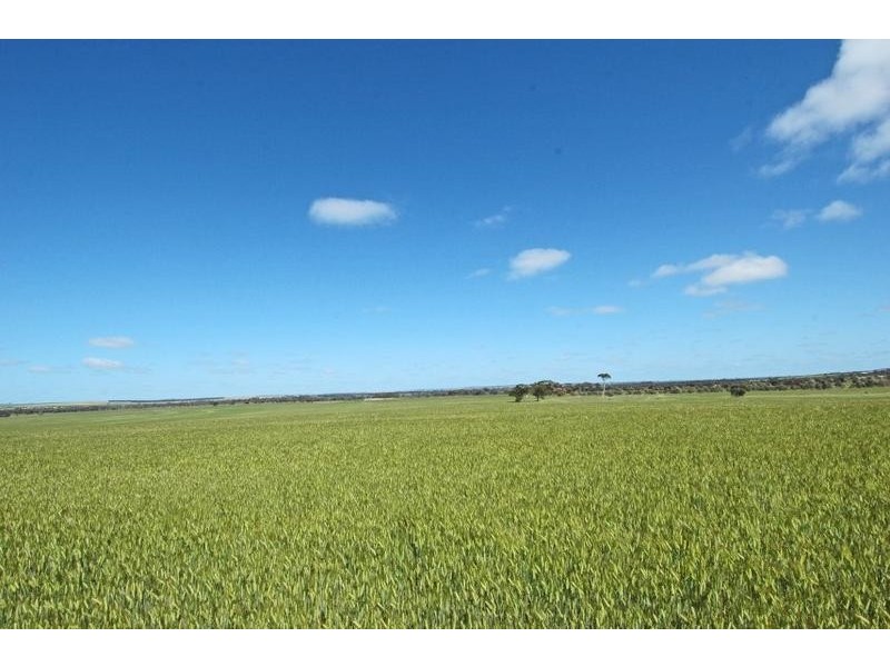 Lot 2,  YENYENING LAKE ROAD, Beverley WA 6304
