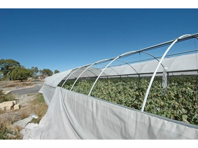 1095 Thomas Road, Oakford WA 6121