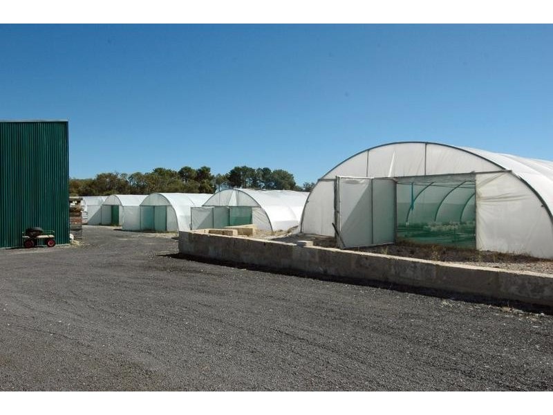 1095 Thomas Road, Oakford WA 6121