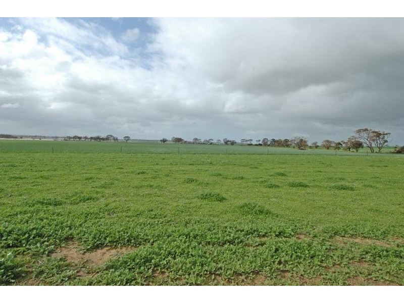 1781 Old Beverley Road, Dangin WA 6383