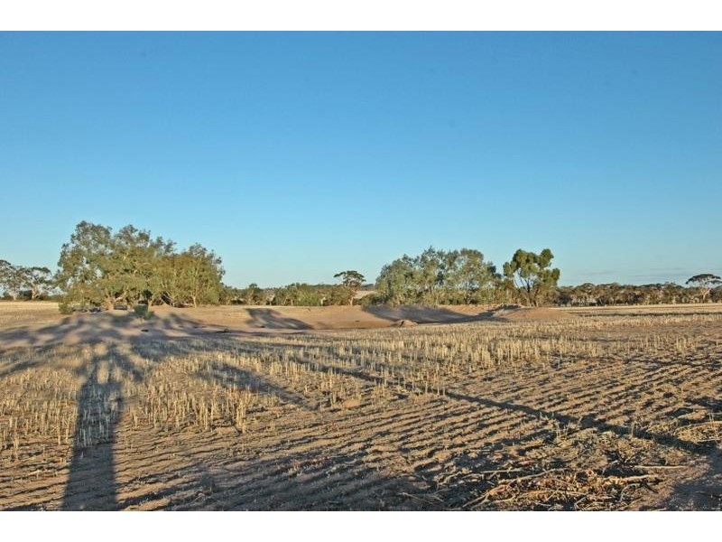 2533 Quairading – York Rd, Beverley WA 6304