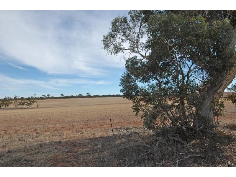 2533 Quairading – York Rd, Beverley WA 6304