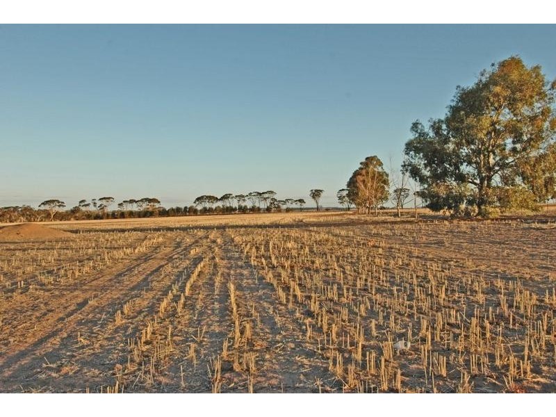 2533 Quairading – York Rd, Beverley WA 6304