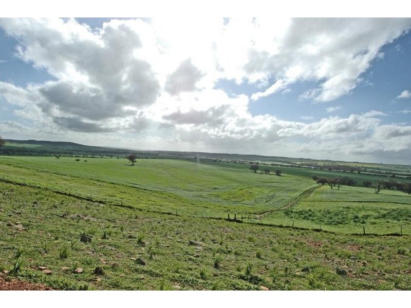 0 Spencer Brook – York Road, York WA 6302