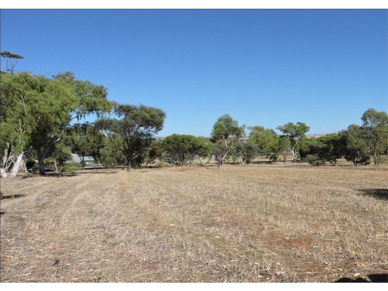 17 HOPE ST, Beverley WA 6304