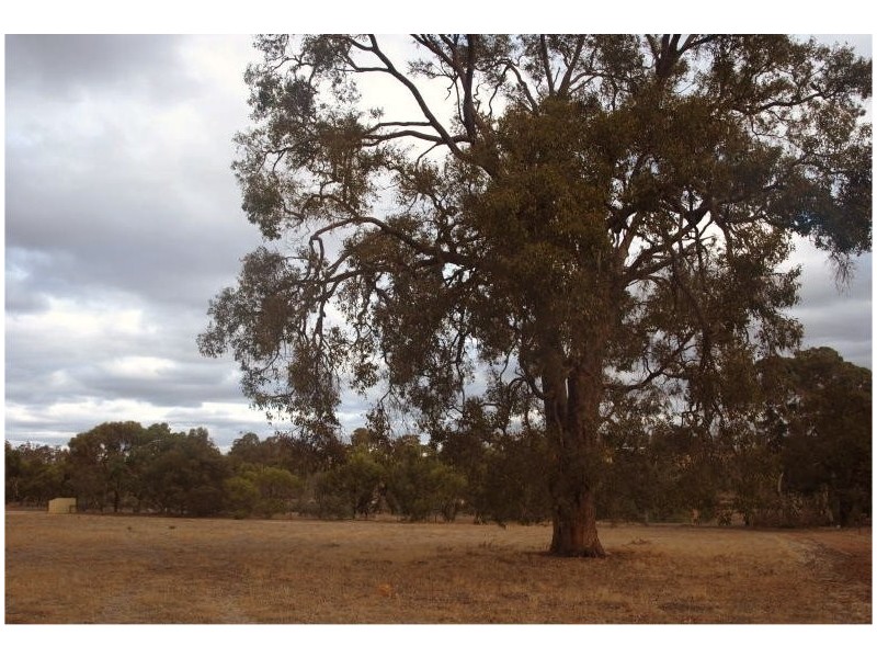 Lot 340, 340 Gleeson Hill Road, Bakers Hill WA 6562