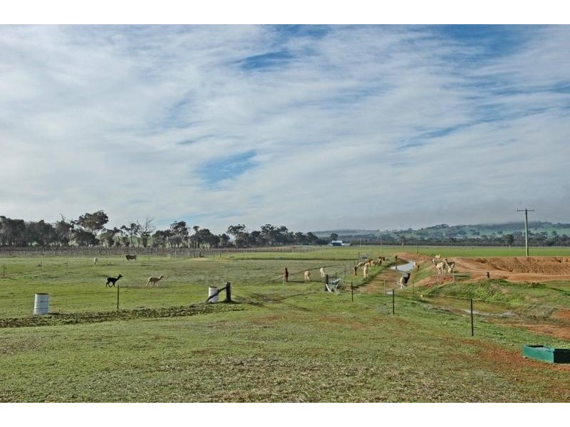 1573 West Popannyinng Rd, Popanyinning WA 6309