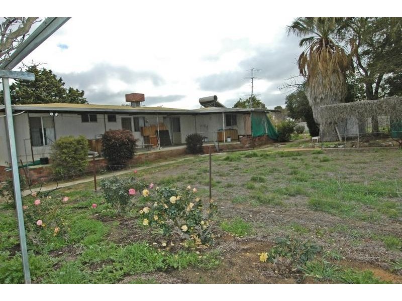 17 Ashton St, Quairading WA 6383