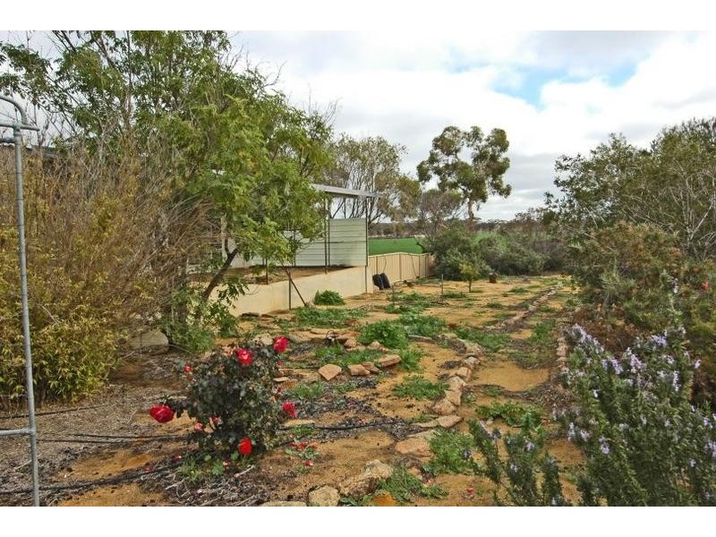 17 Ashton St, Quairading WA 6383