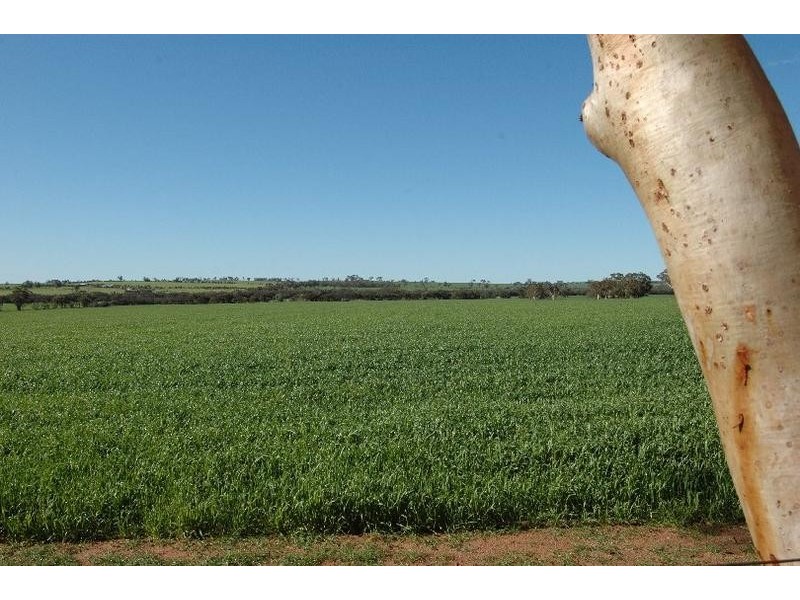 Lot 63,  Bogling Road, York WA 6302
