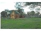 Lot 652,  Weatherhead Road, Popanyinning WA 6309