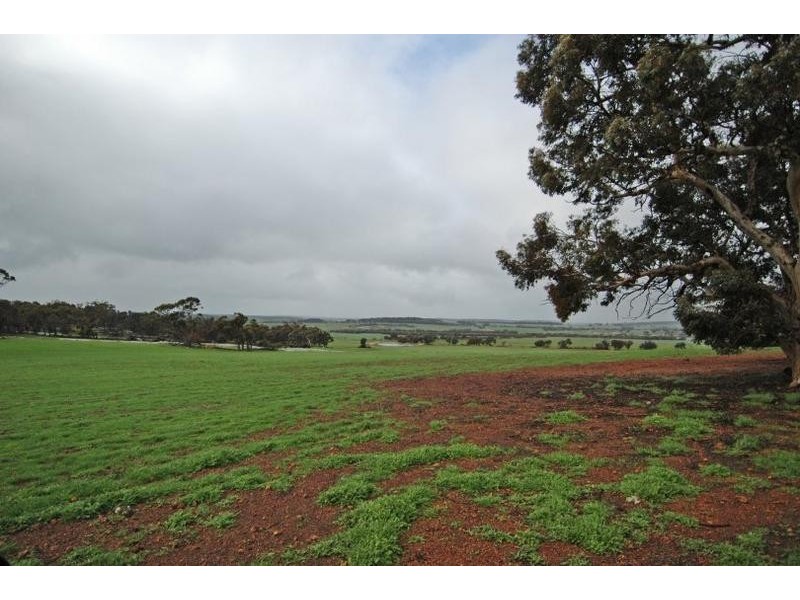 876 SHADDICKS ROAD, Popanyinning WA 6309