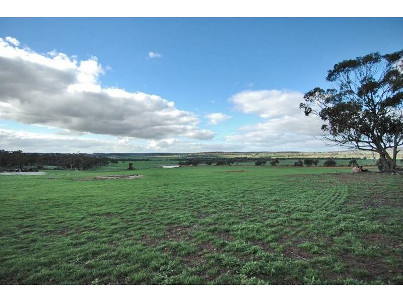 876 SHADDICKS ROAD, Popanyinning WA 6309