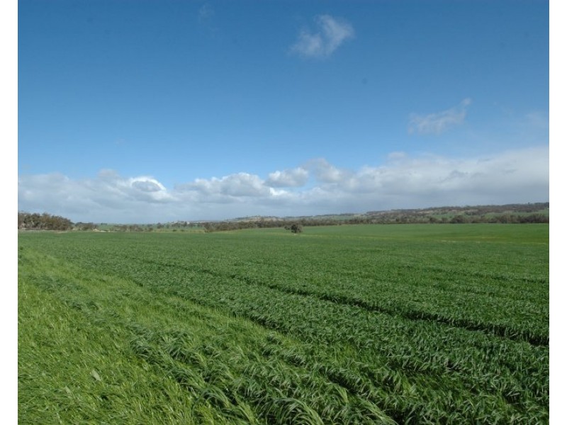 Lot 1,  Kokeby West Road, Beverley WA 6304