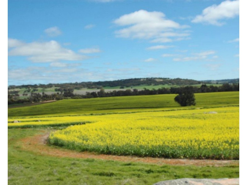 Kokeby West Road, Beverley WA 6304